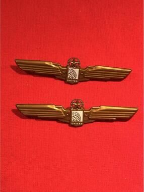 UNITED AIRLINES Globe Wings Star ~ 2 Pins~ 3 1/4" PLASTIC JR STEWARDESS JR PILOT